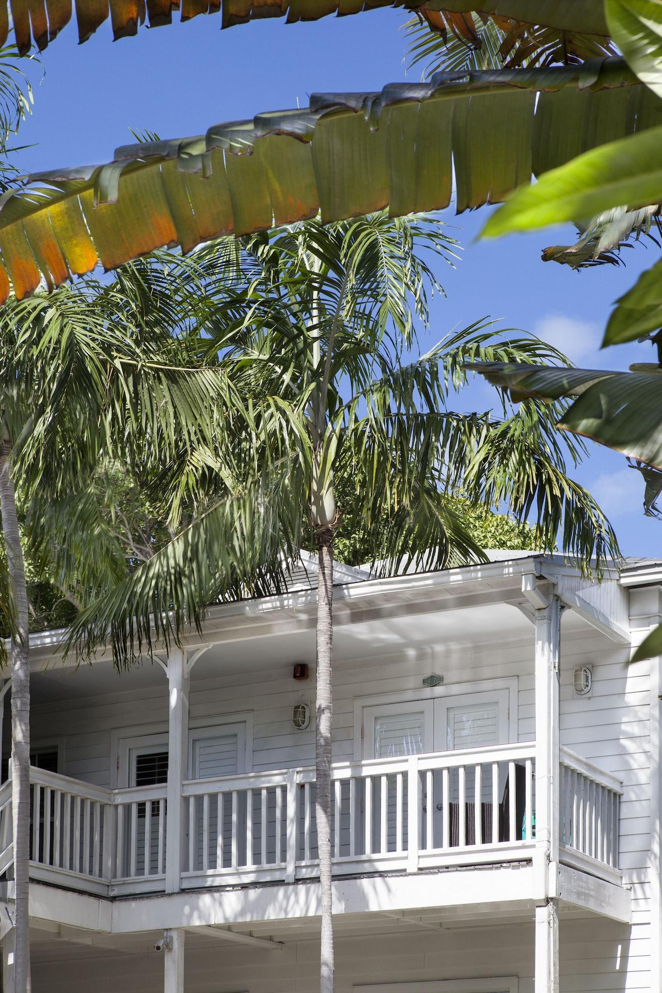 Paradise Inn - Adult Exclusive Key West Dış mekan fotoğraf
